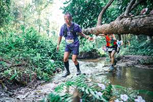 BIB: 
                            <button type="button" onclick="openModal(25446376)" class="btn btn-primary btn-sm float-right btn-popup" data-toggle="modal" data-target=".modal-high-quality">
                        <i class="fas fa-shopping-cart"></i> Add to Cart
                    </button>
                                            <button type="button" onclick="isThisMe(25446376, true)" class="btn btn-success btn-sm float-right btn-popup btn-isme hidden" data-toggle="tooltip" data-placement="bottom" title="นี่คือรูปของคุณใช่ไหม คลิกที่นี่เพื่อเอาเข้าอัลบั้ม">
                        <i class="fas fa-plus"></i> Add to album
                    </button>
                    <button type="button" onclick="isThisMe(25446376, false)" class="btn btn-warning btn-sm float-right btn-popup btn-isnotme hidden">
                        <i class="fas fa-ban"></i> Remove from album
                    </button>